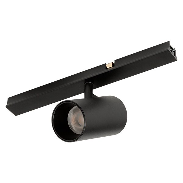 20_SpotlightMicroMagnet1L