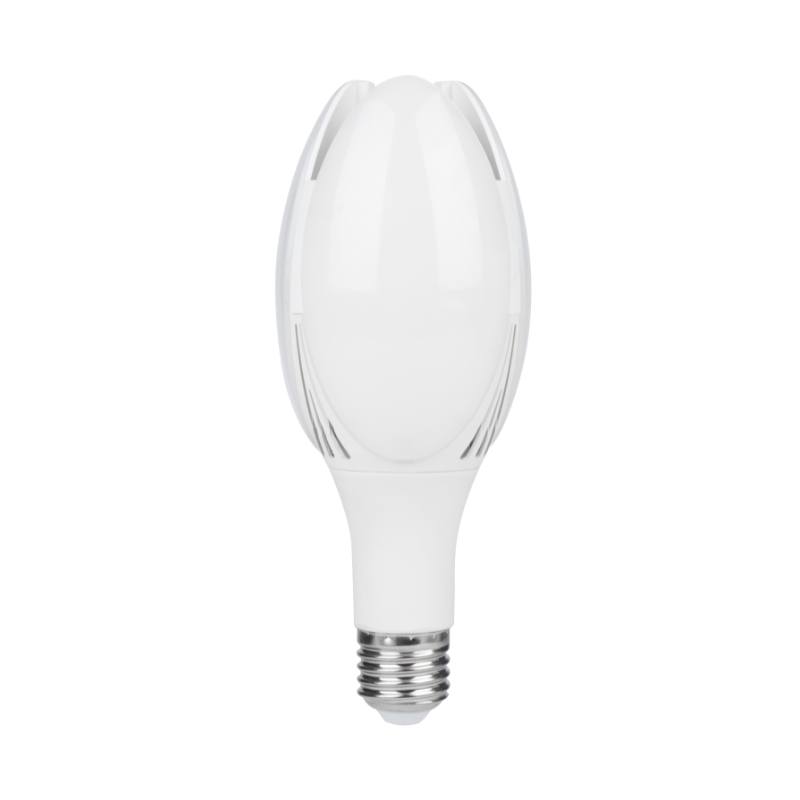 Magnolia y mini magnolia