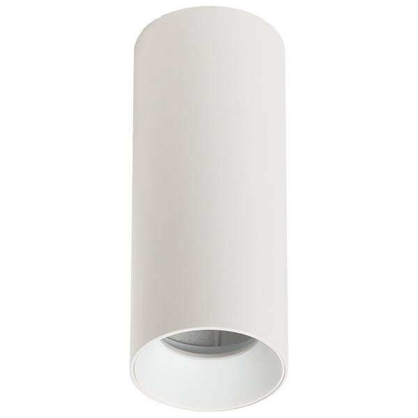 117_TonyCeilingS